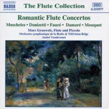 Romantic Flute Concertos (Vandernoot, Grauwels)