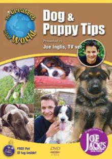 Dog and Puppy Tips
